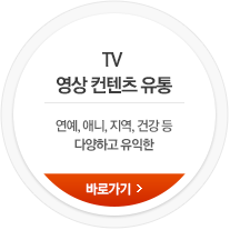 TV 영상 컨텐츠 유통 연예, 애니, 지역, 건강 등 다양하고 유익한 바로가기