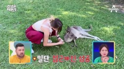 채널A_선넘은패밀리2