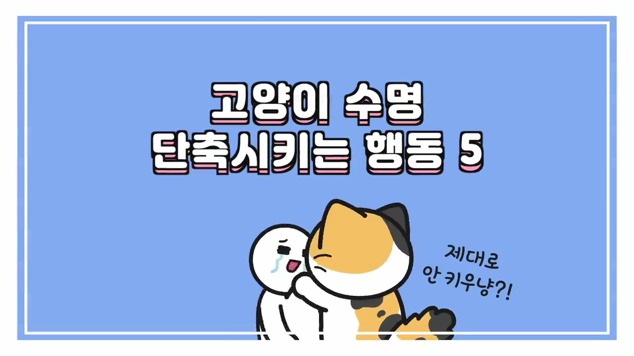 비마이펫_고양이의수명