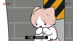 비마이펫_상속냥