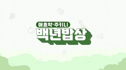 백년밥상_애호박편