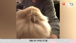 요즘이슈_동물_화를내도귀여운친구들