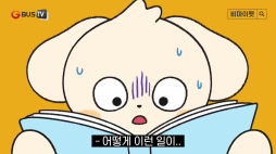 비마이펫_턴스핏