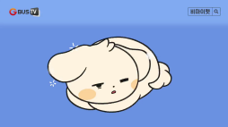 비마이펫_교환열매대소동