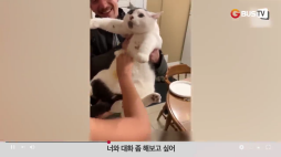 요즘_01_동물_너와대화해보고싶어