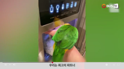 요즘이슈_동물_우리는최고의파트너