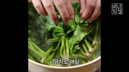 백년밥상_참치시금치무침