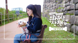 국가유산채널_문화유산산책