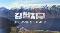 채널A_강철지구(상어&가오리)