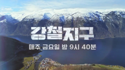 채널A_강철지구(바리살)