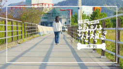 국가유산채널_고창갯벌