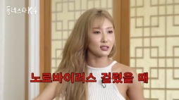 동네스타K4